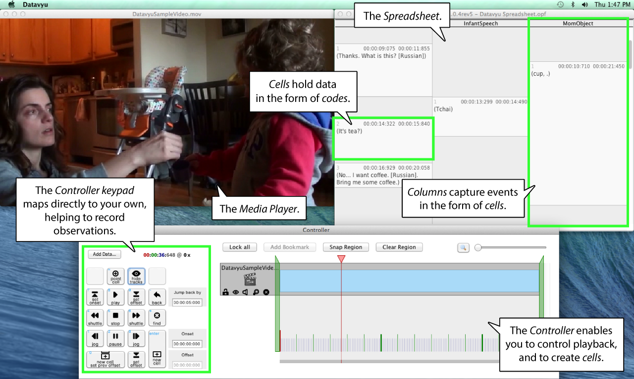 images/annotated-datavyu-desktop.png